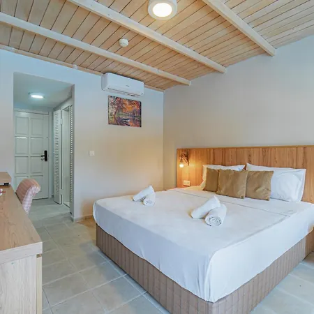 Otel Alexander The Great & 3*